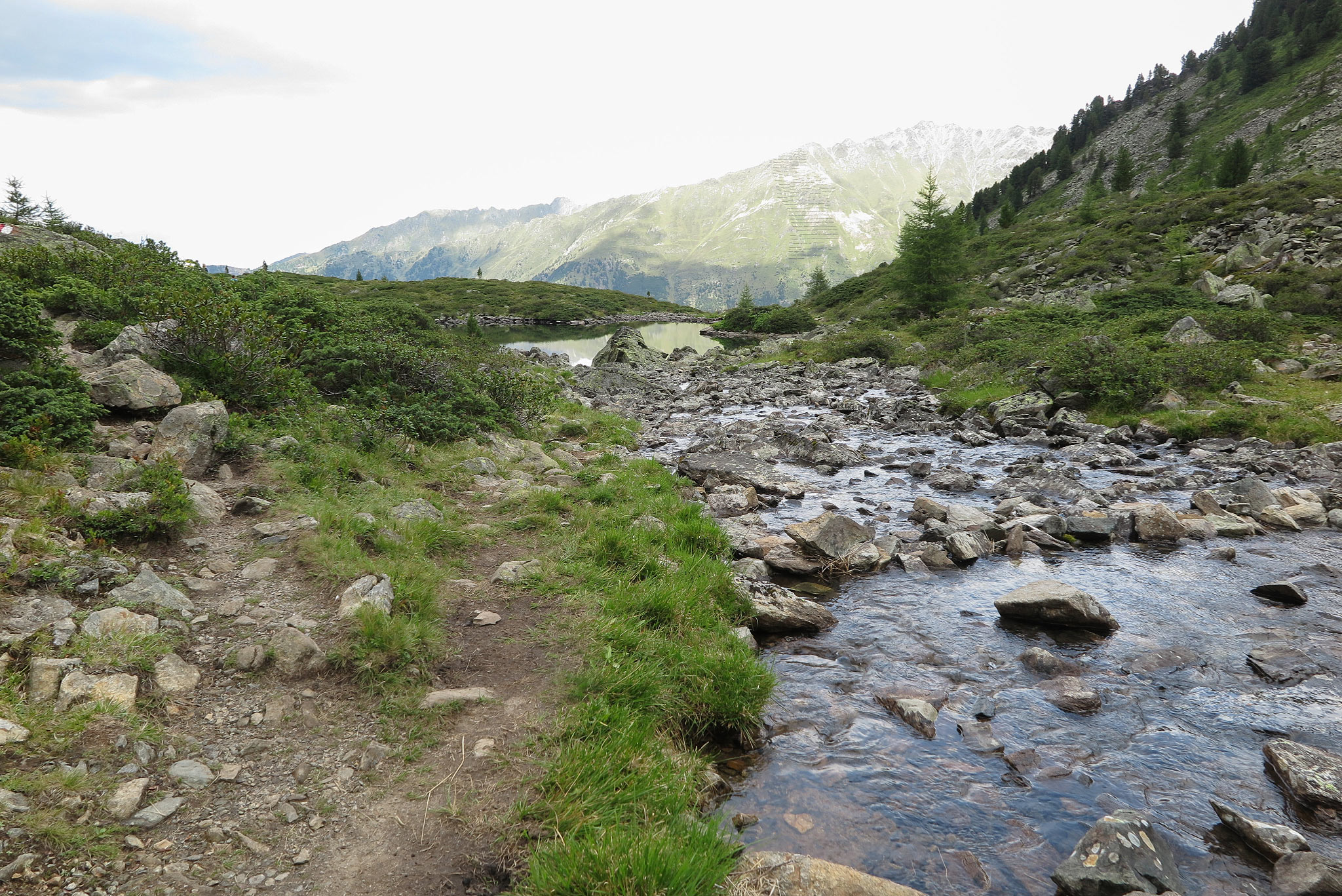 Brechsee